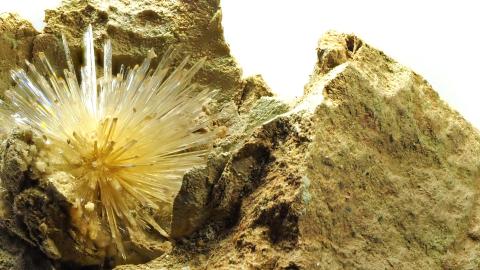 Minergal