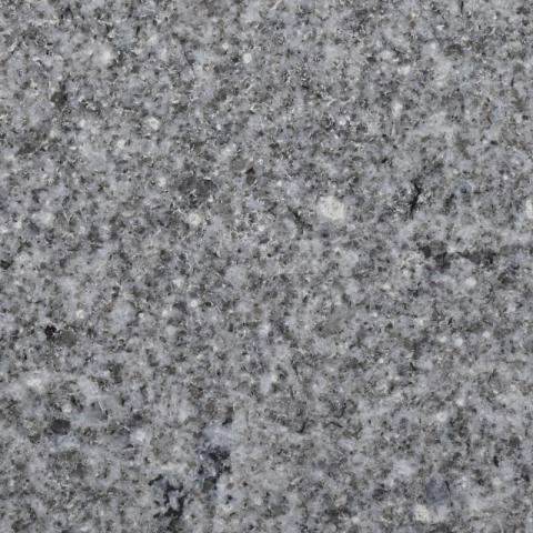 Silvestre Gris (Guitiriz)